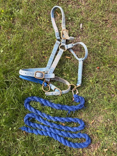Monty roberts dually halter - roberts, l