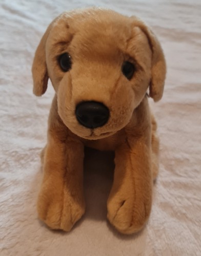 Lovely monty soft toy - lovely,
