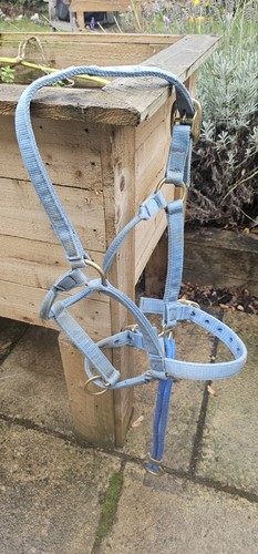 Monty roberts dually - roberts,