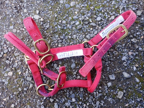 Monty roberts dually halter - monty,