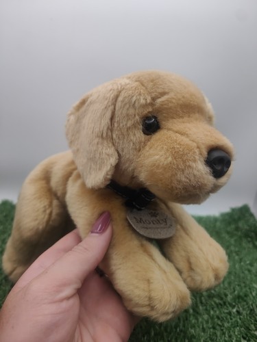 Monty labrador soft toy plush - monty,