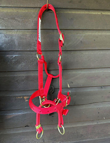 Monty roberts dually halter