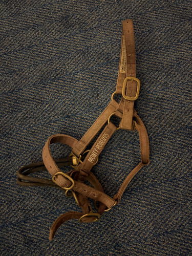 Monty roberts medium - medium, dually